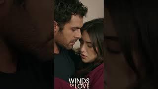 Zeynep'in kabullendiği gerçek   | #windsoflove #shorts #ruzgarlitepe #turkishseries