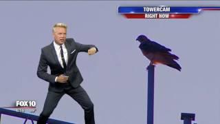 Bird interrupts Cory's forecast