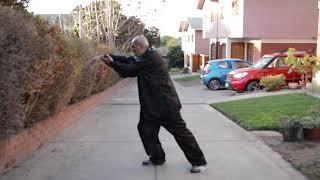 Tai Chi Chuan Wu Sistema tradicional, Esteban Lara Lobos.