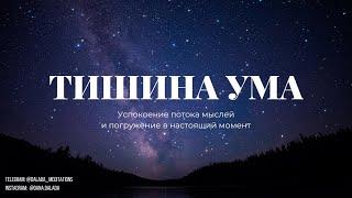 Медитация успокоения Ума. Поток мыслей не дает уснуть? Медитация Созерцание: Практика Тишины Внутри