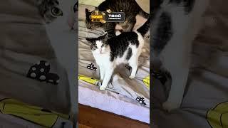 Иногда Подстава Прилетает Даже От Своих Близких 
