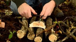 Hidden Valley Bushcraft