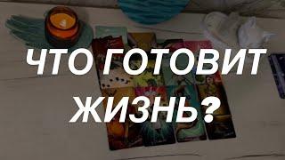 Таро расклад для мужчин. Что Готовит Жизнь?