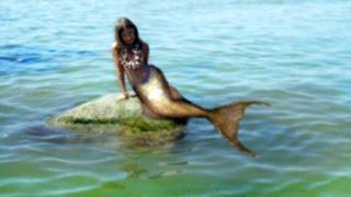 A mermaid was caught on video. Mermaids exist!