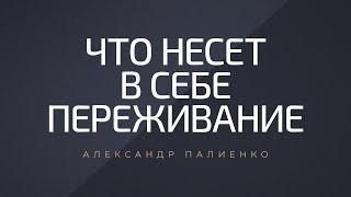 Что несет в себе переживание. Александр Палиенко.