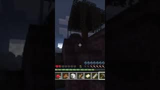 Minecraft night surviving