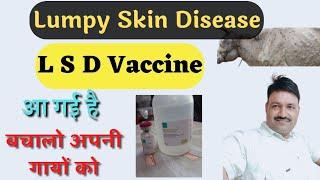 Lumpy Skin Disease Vaccine / LSD Vaccine