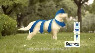 Love is not Enough - FRONTLINE Spot On TV commercial (Dog)