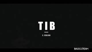 TIB (Throw It Back) - Explicit Video