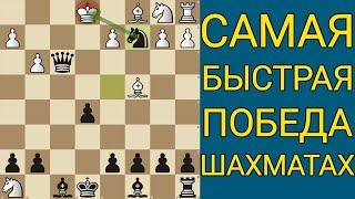 ГАРАНТИРОВАННАЯ ПОБЕДА В НАЧАЛЕ ПАРТИИ. Шахматы ловушки