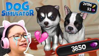 Dog Simulator - They're SOOO CUTE and EXPENSIVE!!