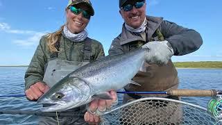 Fly Fishing for Huge Alaskan Silvers!