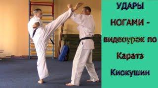 УРОКИ КАРАТЭ КИОКУШИНКАЙ - урок № 2  Техника ударов ногами ( Kyokushin Karate - Kicks in karate )