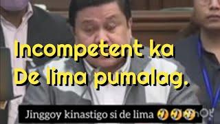 SENATOR JINGGOY ESTRADA TO X SEN. LAILA DE LIMA INCOMPETENT KA.. MATAPOS BAKBAKIN SA SENATE HEARING.