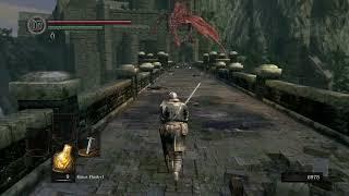 Oscar encounters Hellkite Dragon - Dark Souls