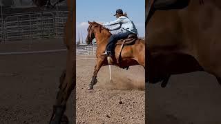 #nsca #omoksee #horse #rodeo #horseshow #western #westernriding #aqha #youtubeshorts #subscribe