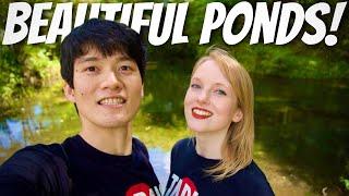 A Chilled Day in my Japan Life Vlog | Visiting Mt. Fuji's Mysterious Ponds