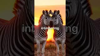 Zebras: The Striped Wonders of the African Plains