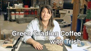 Green grading coffee with Trish