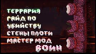 Как убить Стену Плоти за воина? (Мастер мод) Terraria