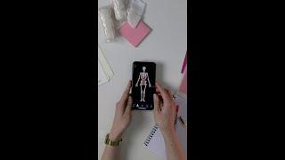 Visualize digestition | Complete Anatomy