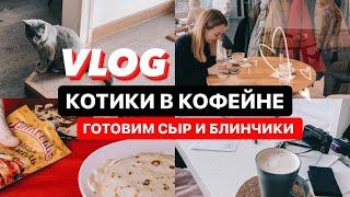 VLOG:распаковки, РЕЦЕПТЫ блинчиков, сыра и просто жизнь 