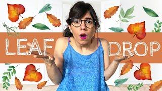 STOP YOUR PLANT FROM LOSING LEAVES | Plant leaves dropping !