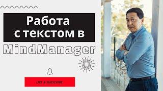 Работа с большими текстами на одной странице в MindManager