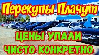 Перекупы в ШОКЕ  !!! ЦЕНЫ РУХНУЛИ В ЕВРОПЕ !!! 