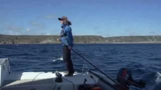 Catamaran Sailing - Marine Discovery Penzance