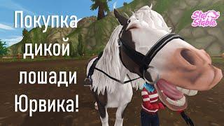 Покупка дикой лошади Юрвика _ Star Stable