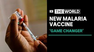 WHO recommends malaria vaccine that will be rolled out next year | The World