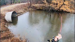 Spin Fishing For Big PA BROWN TROUT #troutfishing #fishing #trout