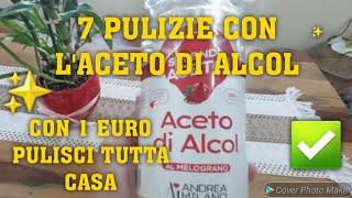 7 PULIZIE CON L'ACETO DI ALCOL️PULISCI TUTTA CASA CON 1 EURO #cleaninghacks #cleaning #cleanwithme