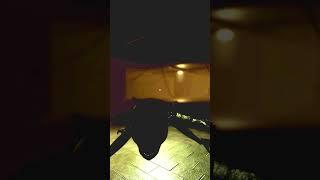 VIGOR (UPDATE) - ROBLOX ALL JUMPSCARES #viral  #roblox  #jumpscare
