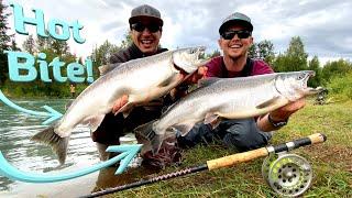 Kenai River Alaska Fishing for Silver Salmon in Soldotna Alaska Swiftwater Park