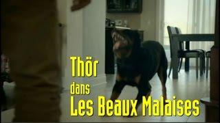 Scènes de Thör -  Les Beaux Malaises -  Épisode 24