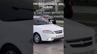 uzb kotta bolla 712