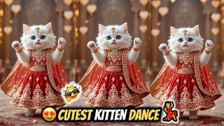 Cat videos funny dance  Videos for cats | बिल्ली डांस | Funny cat Dance #funny #dancingcat #cat