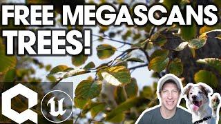 How to Use FREE Megascans Trees for Unreal Engine!