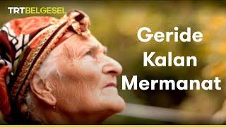 Geride Kalan Mermanat | Ödüllü Belgesel