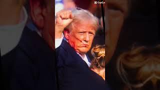 #edit #trump #tjt:tv