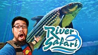 RIVER SAFARI SINGAPORE [FULL TOUR]
