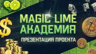 Magic Lime Academy. Презентация проекта. Бонусно-накопительные программы.