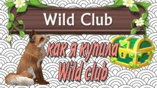 ~|Покупаю Wild club  обзор|~