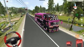 Bus Tunggal Jaya Black Pink Palopo Mamuju, Bussid Simulator Indonesia