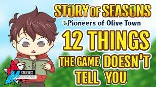 Story of Seasons: Pioneers of Olive Town (Switch): 12 Things The Game DOESN'T Tell You