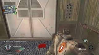 Call of Duty: Black Ops - SH00T3R495 - Bye Bye