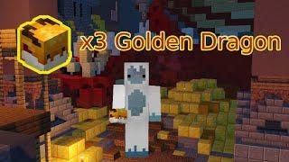 Buying ALL the GOLDEN DRAGON Eggs In The Dragon's Lair (Hypixel Skyblock)