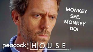 Monkey See, Monkey Do! | House M.D..